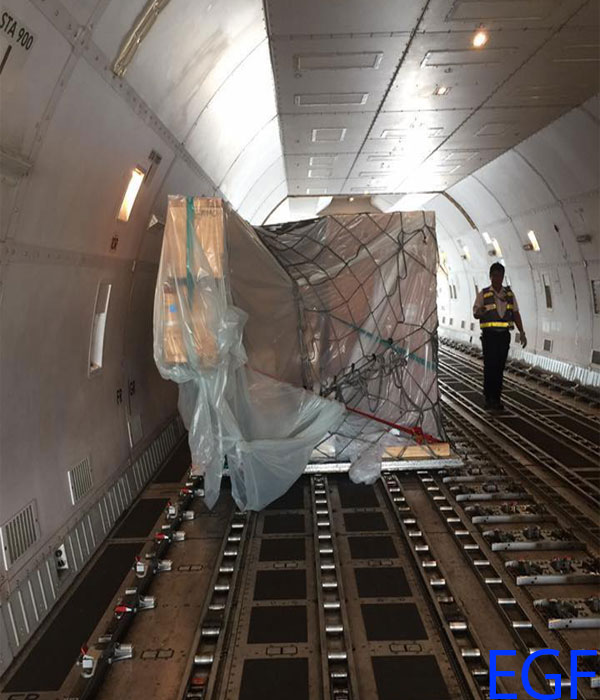 Hình hàng nguy hiểm loại chính(rmd) đang được load lên hầm hàng máy bay